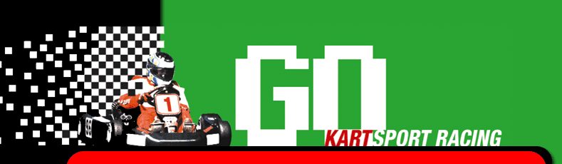Go Karts Racing & Hire : Corporate Karting Entertainment for Melbourne Functions